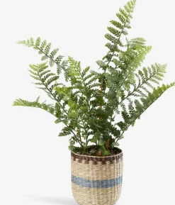 Doniczka JONATAN Ś15xW15cm naturalny