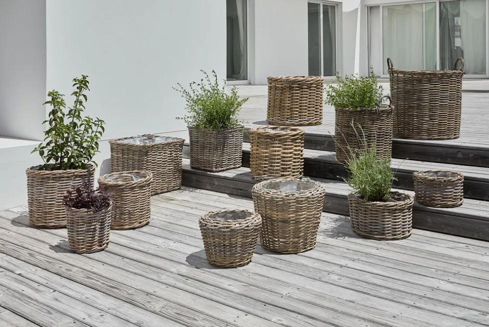 Kosz RINGTROST Ś32/37 kubu naturalny 2szt/op