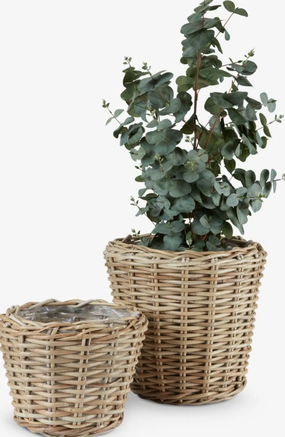 Kosz RINGTROST Ś32/37 kubu naturalny 2szt/op