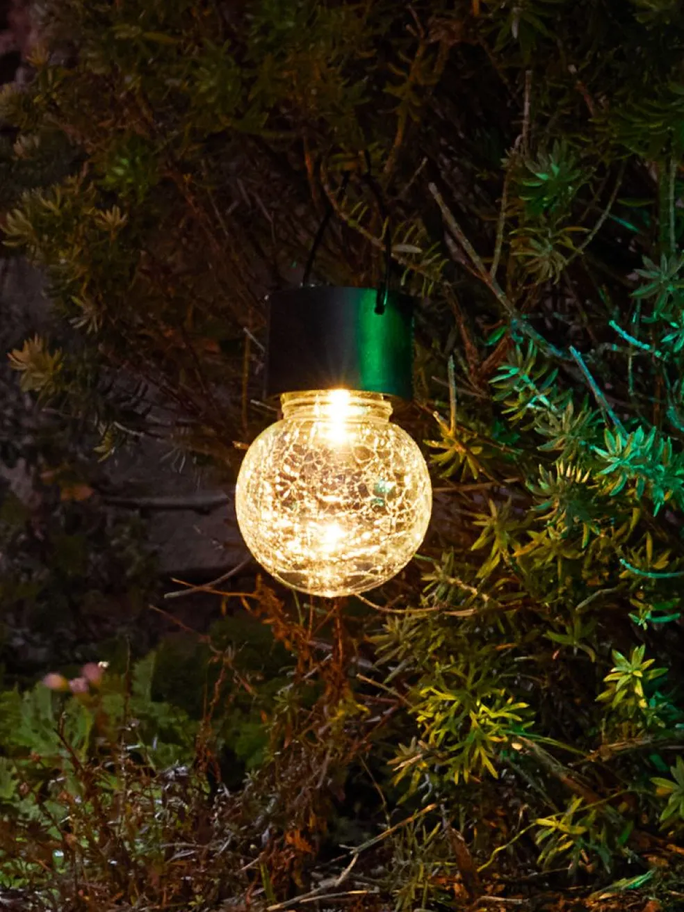 Lampa solarna NATTERGAL Ś6xW14 przezroczysty