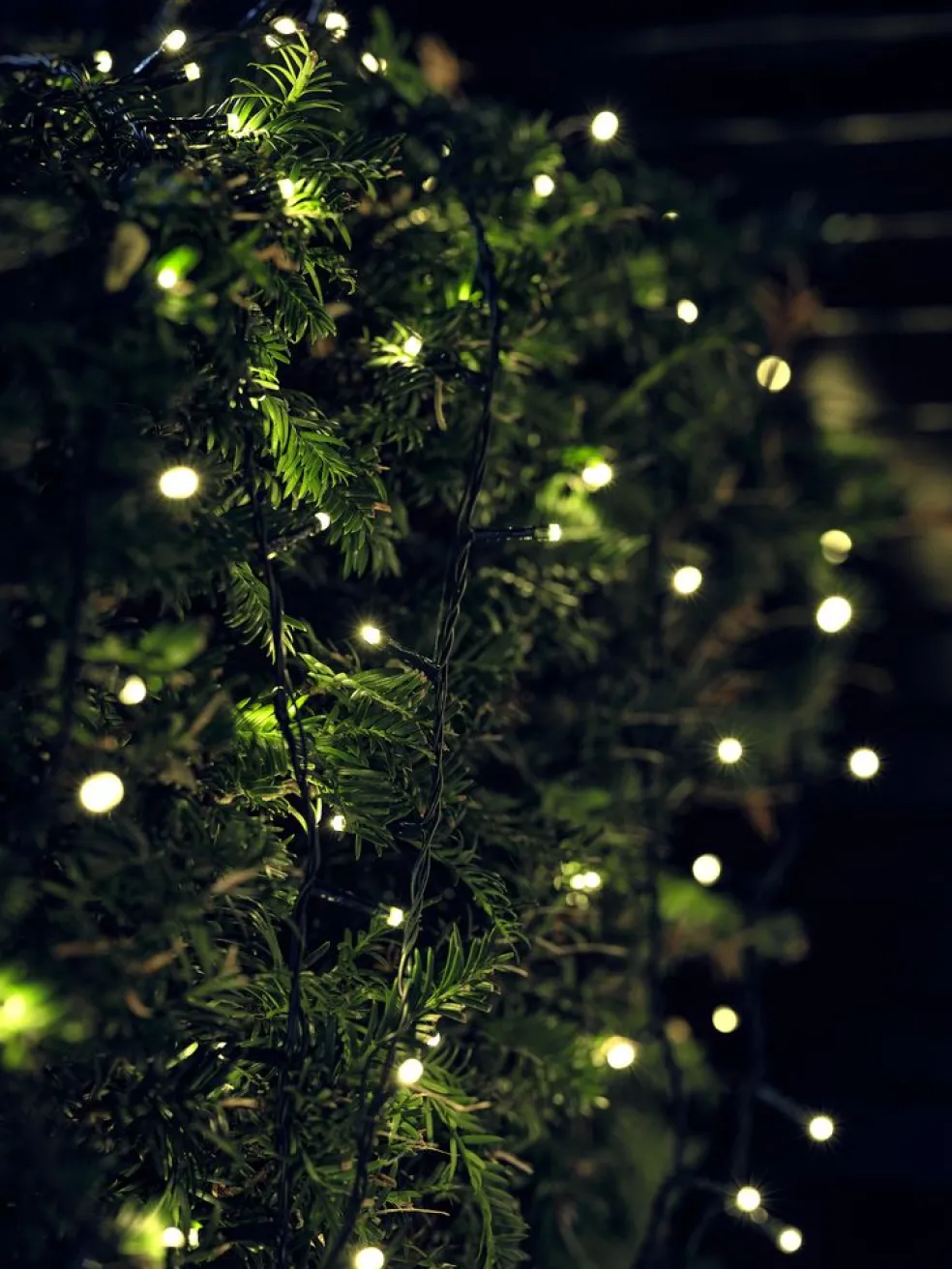 Lampki choinkowe ELDE D4995cm 1000LED z wyłącznikiem czasow.