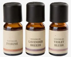 Olejek zapachowy LEON 10ml 3szt/op