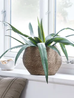 Roślina sztuczna CELIUS W65cm aloes