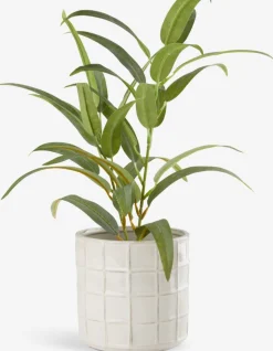 Roślina sztuczna LARSSON Ś11xW43cm zielony