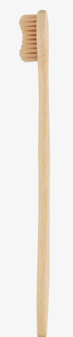 Szczoteczka do zębów VIDJA 19cm Schima wallichi