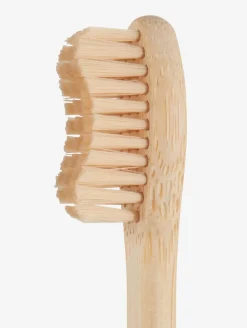 Szczoteczka do zębów VIDJA 19cm Schima wallichi